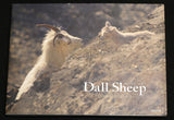 Dall Sheep - Written in English & Japanese by Tomohiro Uemura